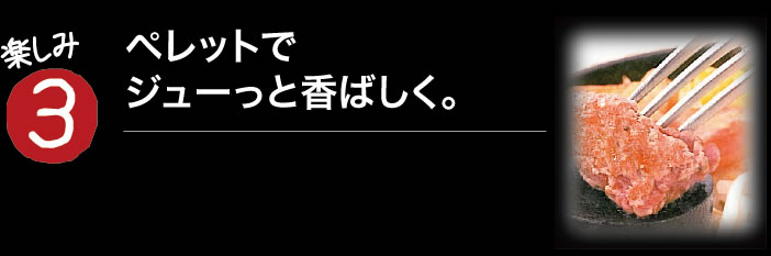 楽しみ3　ペレットで好みの焼き加減を見つける。